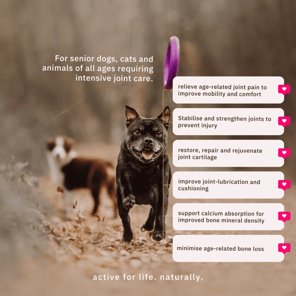 Nutriflex Advanced-Collagen Powder For Dogs