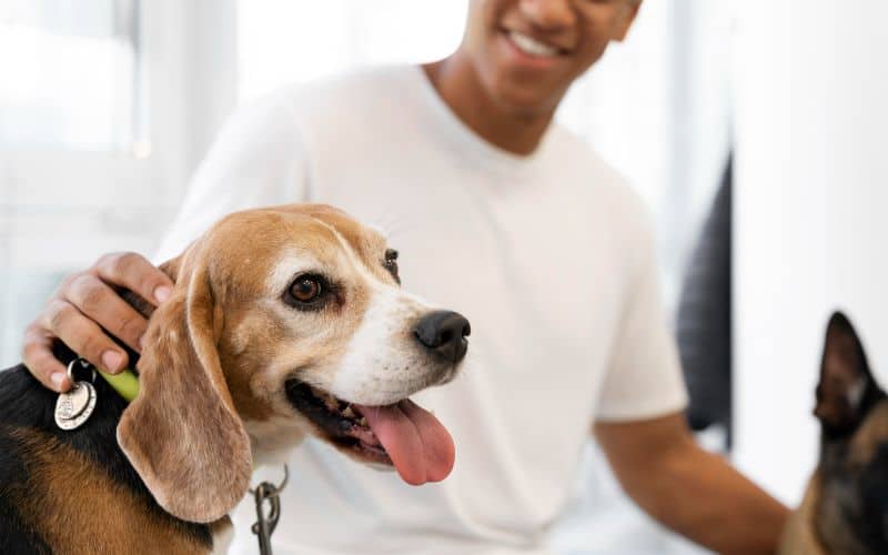 Dog-Joint-Supplements-Close-Up-Smiley-Man-Petting-Dog-Min