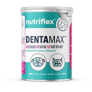 NutriFlex DentaMax Dental Powder for Dogs and Cats - 180g can. Promotes oral health by targeting plaque, tartar, and bad breath. Features Norwegian kelp. Ideal for maintaining clean teeth and healthy gums in pets.