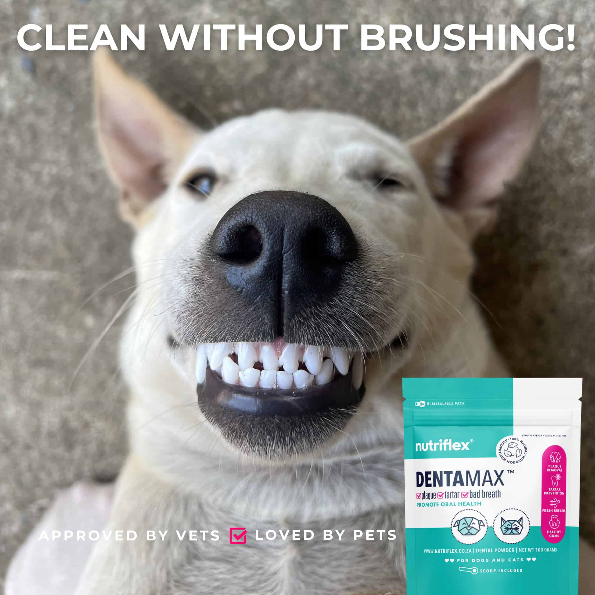 Dentamax-Clean-Dog-Teeth-Without-Toothpaste-For-Dogs